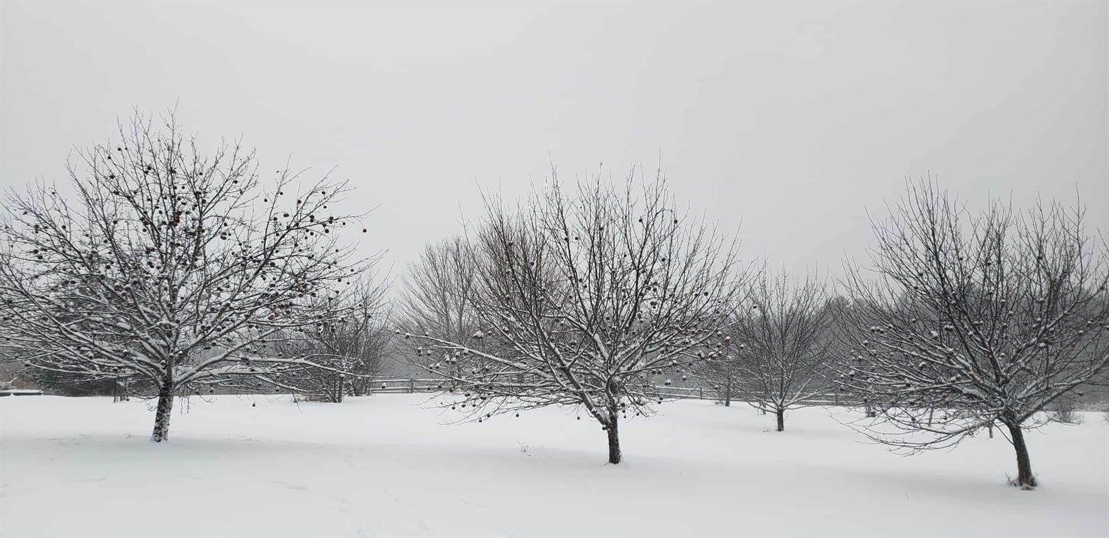 2926 Western Avenue, Newburgh, ME 04444