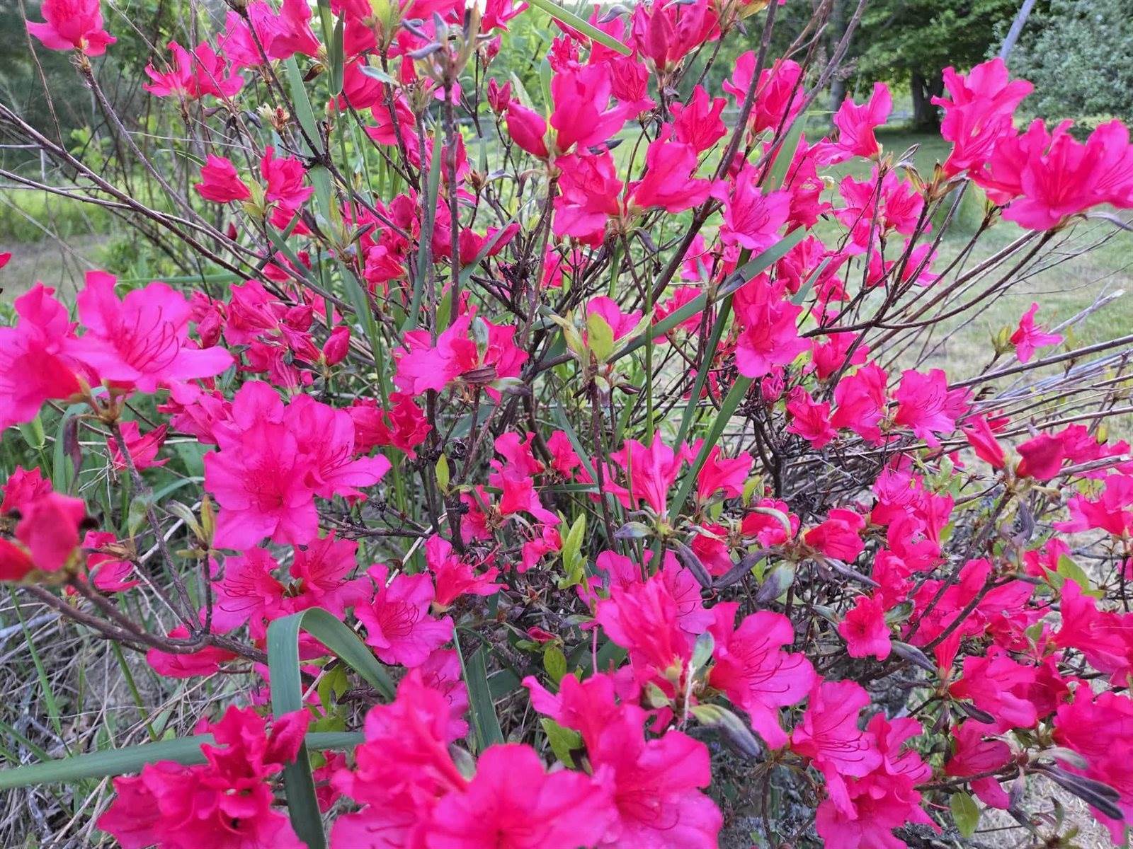 2926 Western Avenue, Newburgh, ME 04444