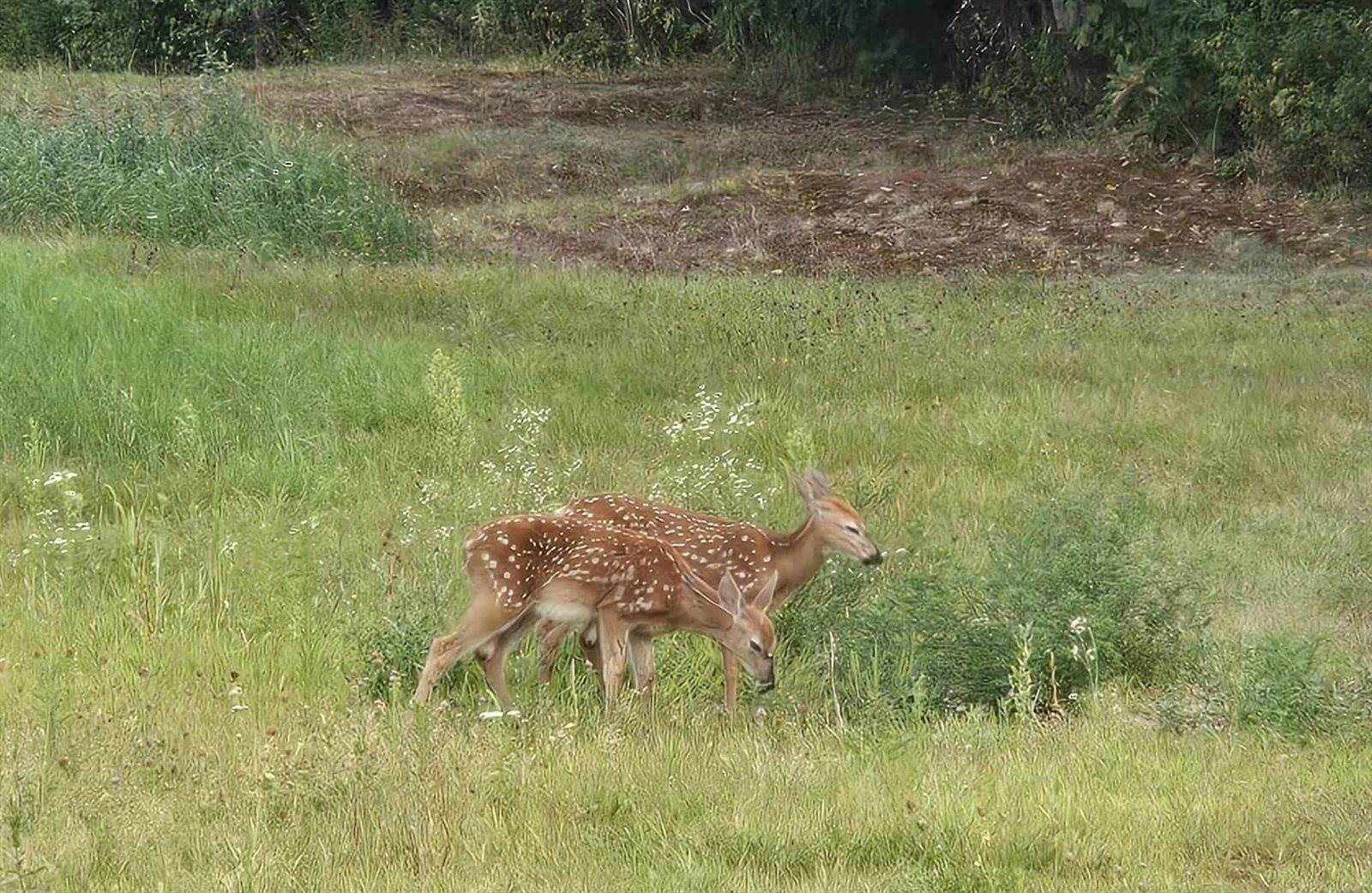 2926 Western Avenue, Newburgh, ME 04444