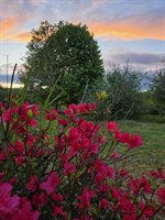 2926 Western Avenue, Newburgh, ME 04444