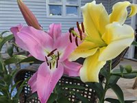 2926 Western Avenue, Newburgh, ME 04444