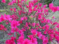 2926 Western Avenue, Newburgh, ME 04444