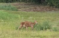 2926 Western Avenue, Newburgh, ME 04444