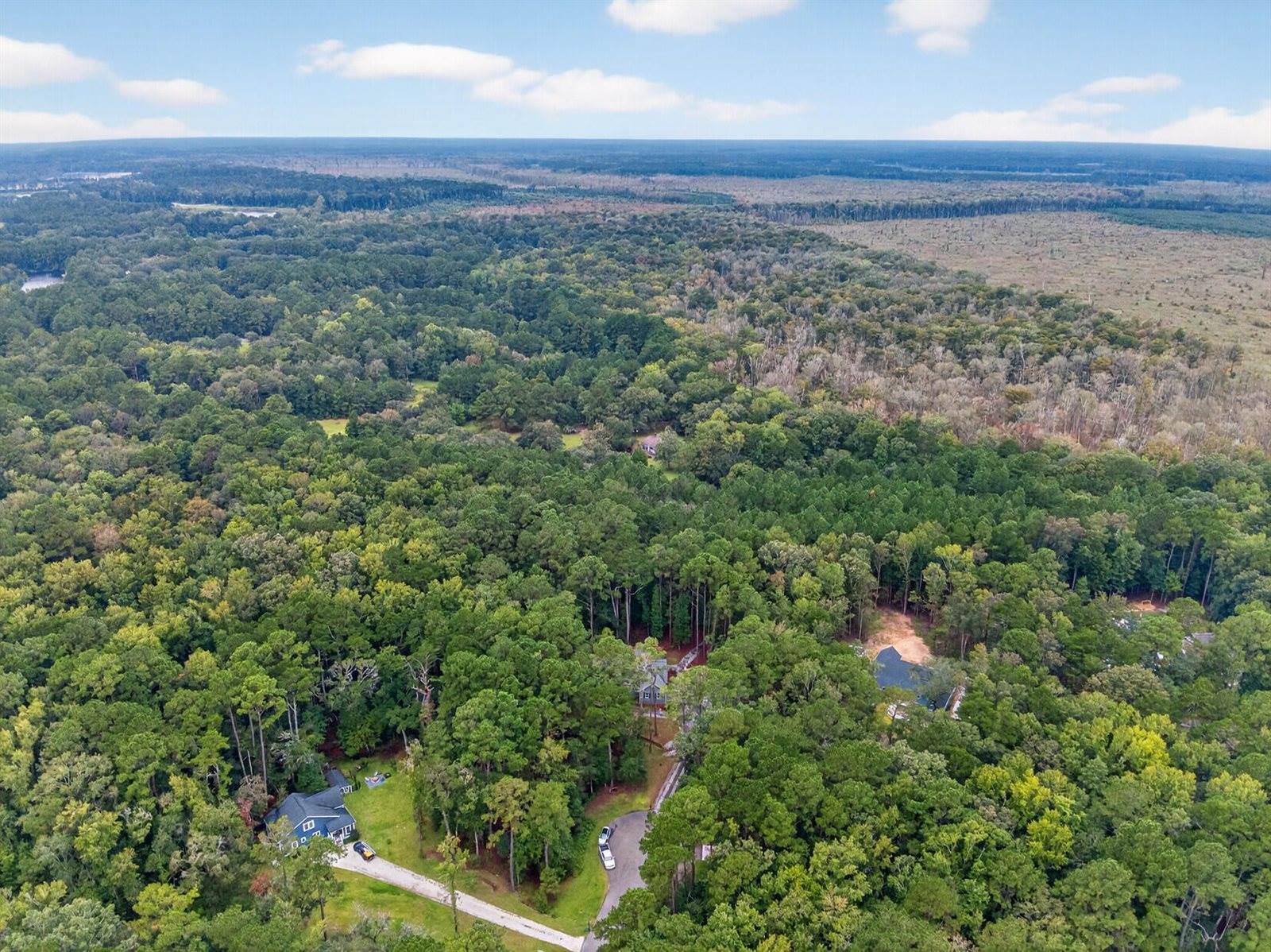 6347 Buttonbush Drive, Ravenel, SC 29470