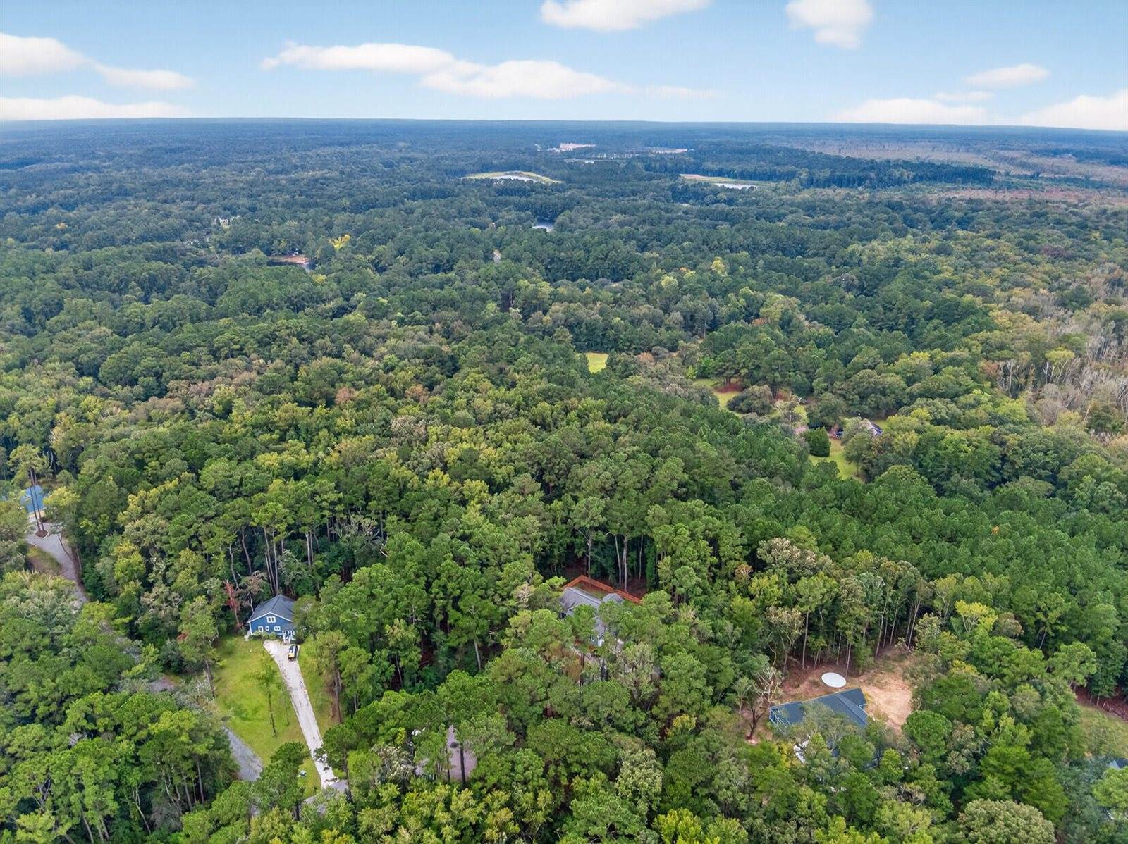 6347 Buttonbush Drive, Ravenel, SC 29470