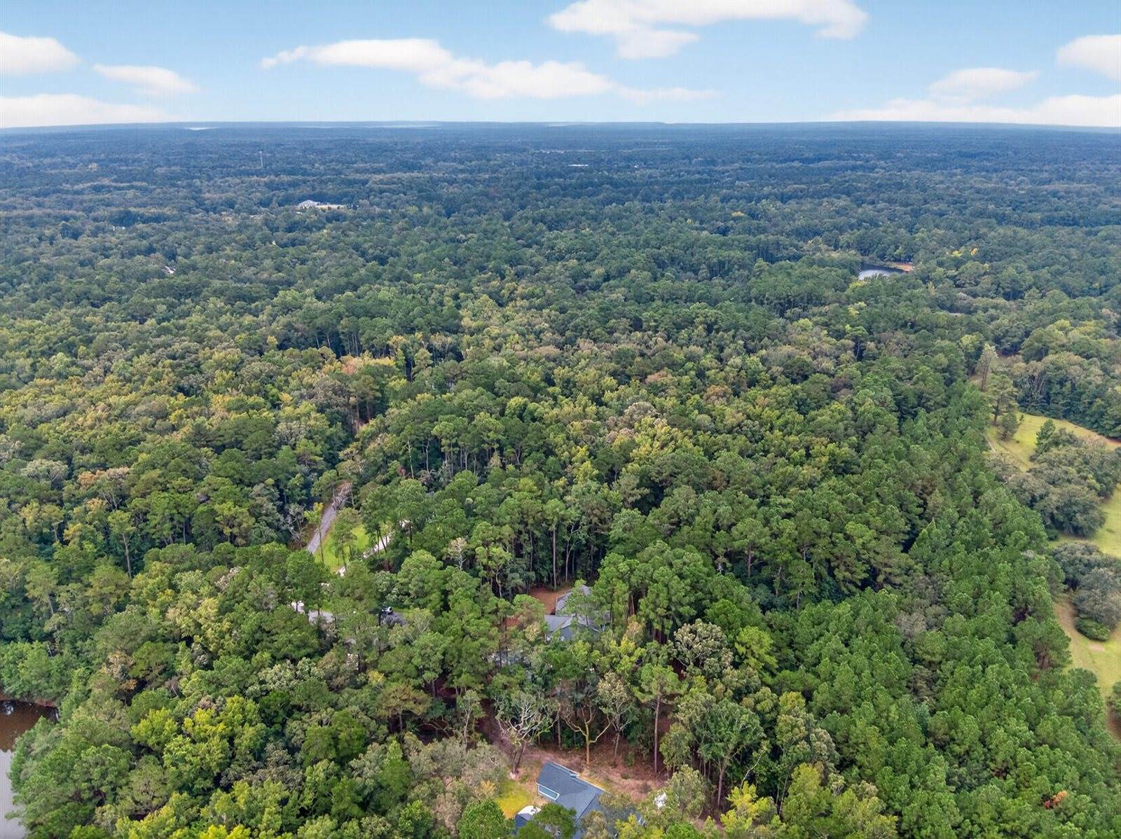 6347 Buttonbush Drive, Ravenel, SC 29470