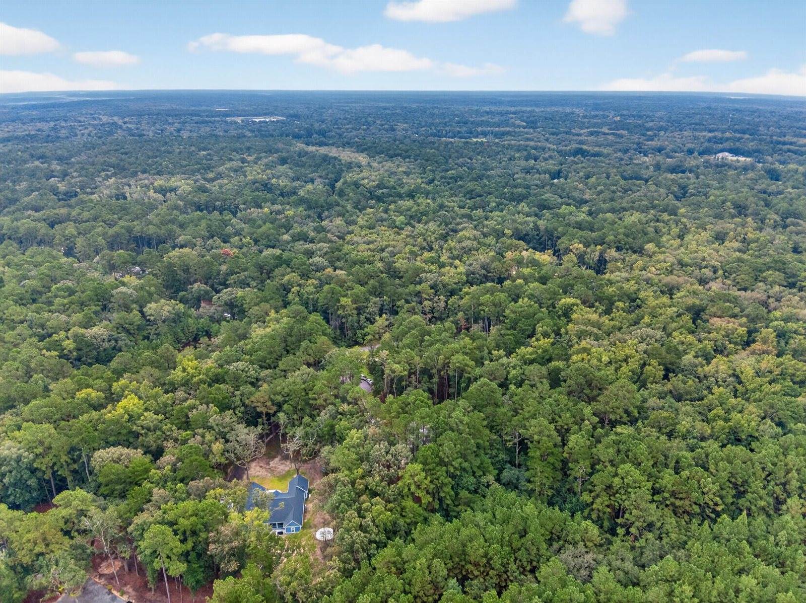 6347 Buttonbush Drive, Ravenel, SC 29470