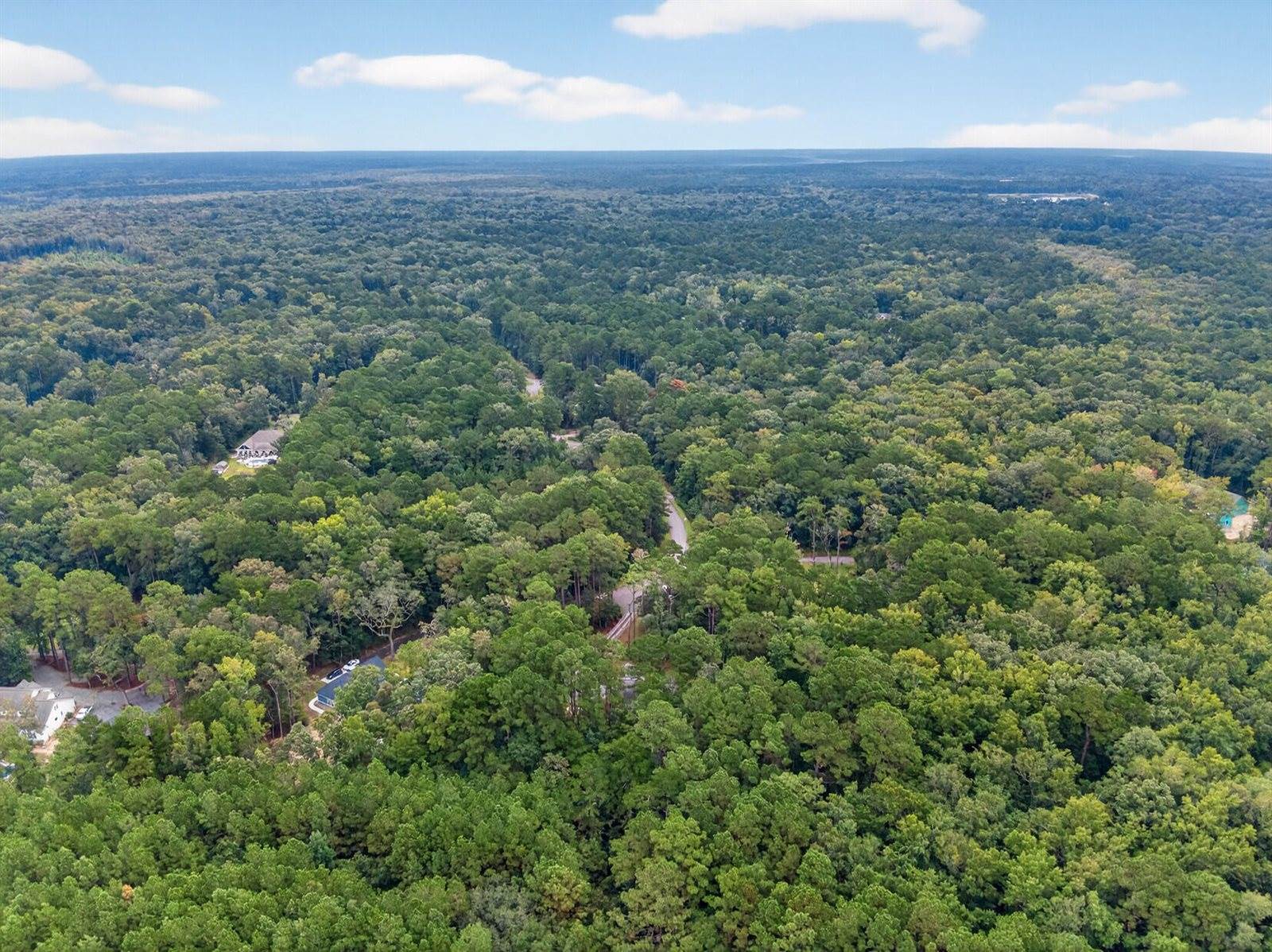 6347 Buttonbush Drive, Ravenel, SC 29470