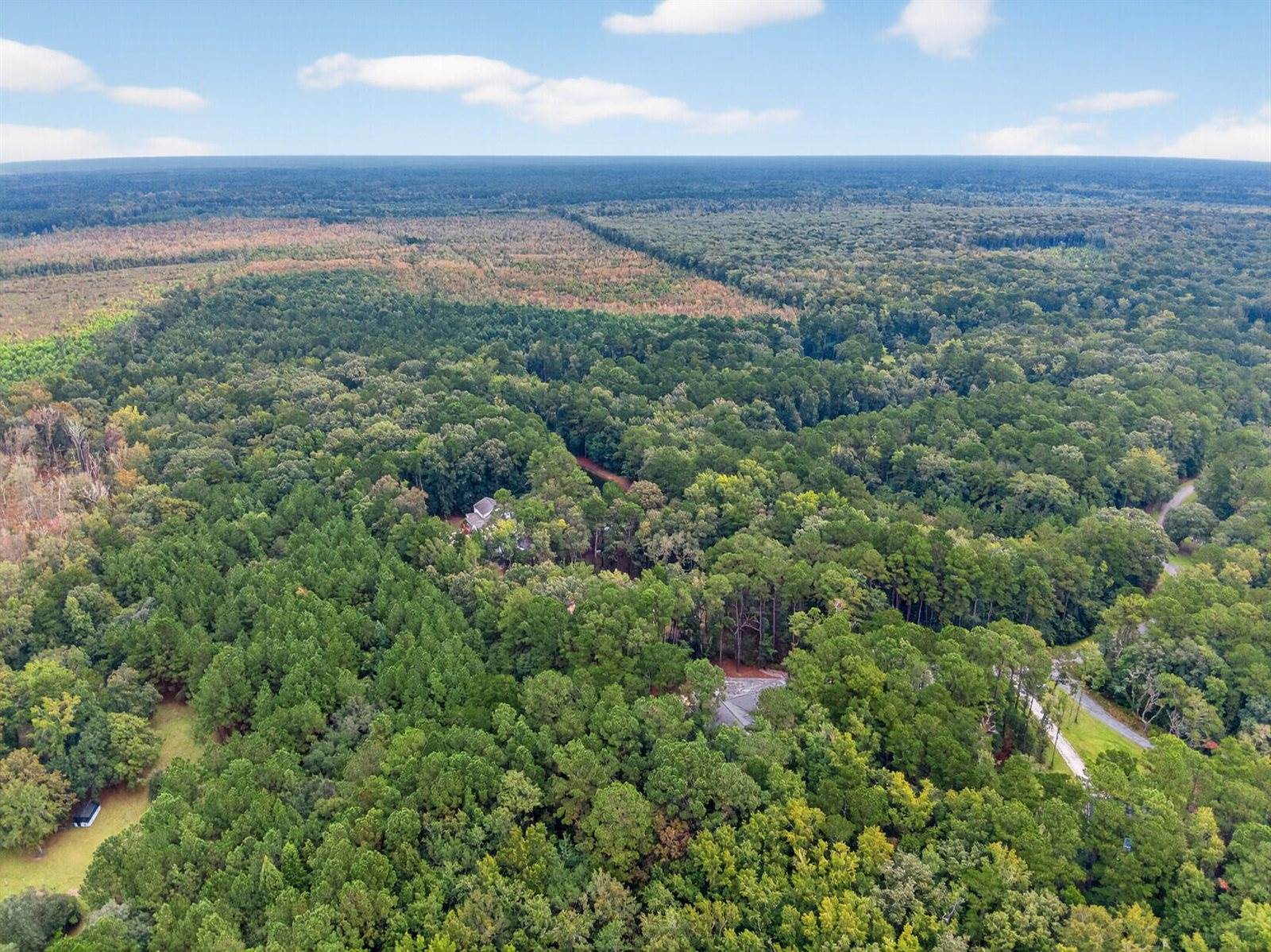 6347 Buttonbush Drive, Ravenel, SC 29470