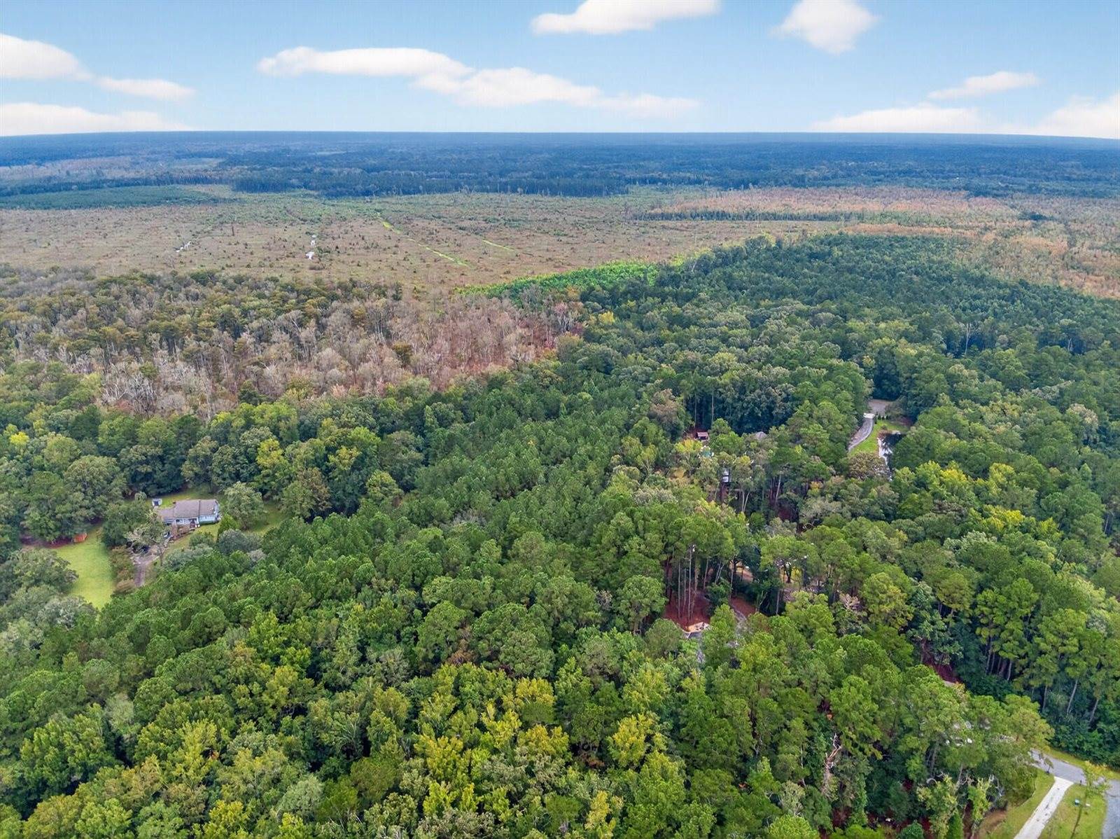 6347 Buttonbush Drive, Ravenel, SC 29470