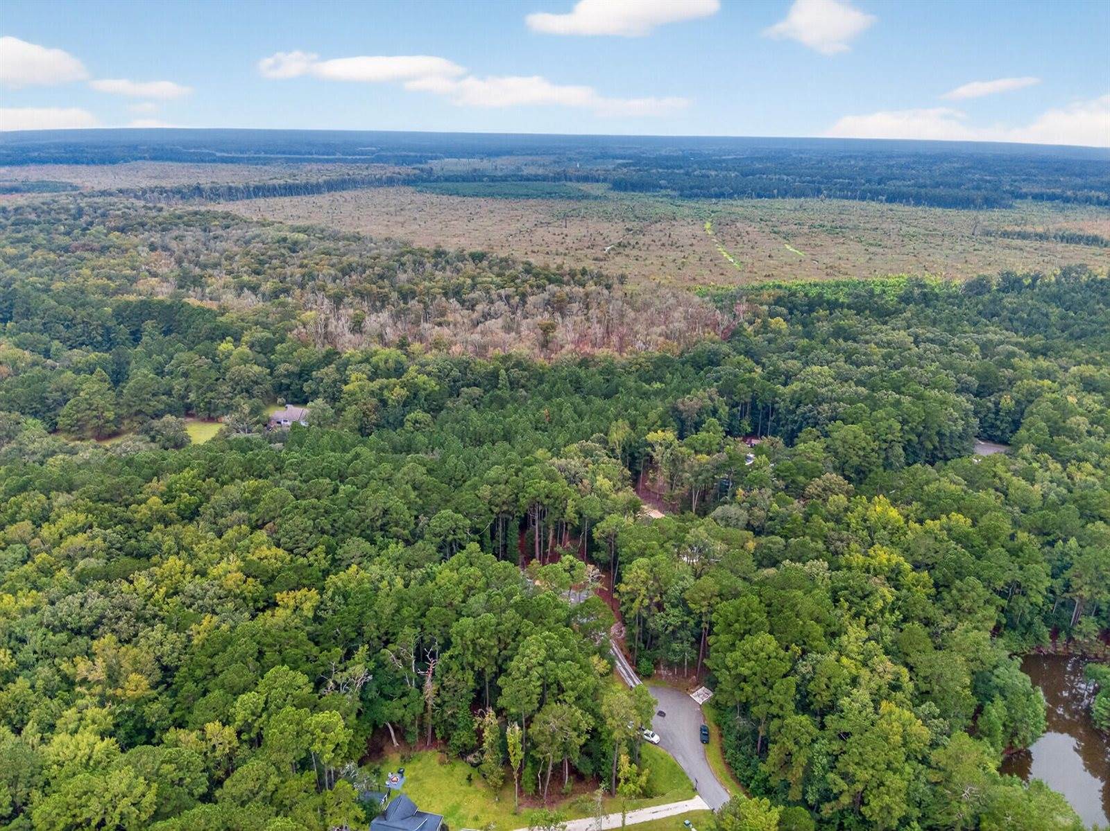 6347 Buttonbush Drive, Ravenel, SC 29470