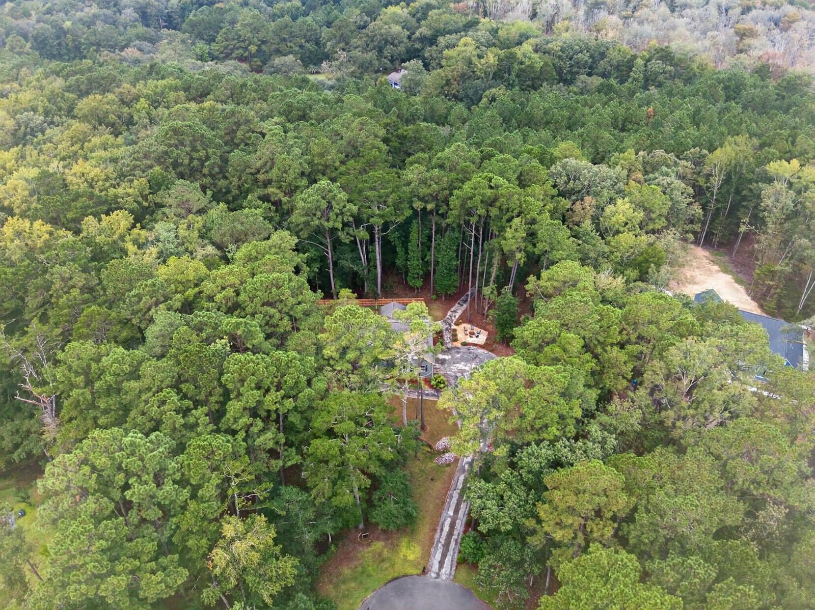 6347 Buttonbush Drive, Ravenel, SC 29470