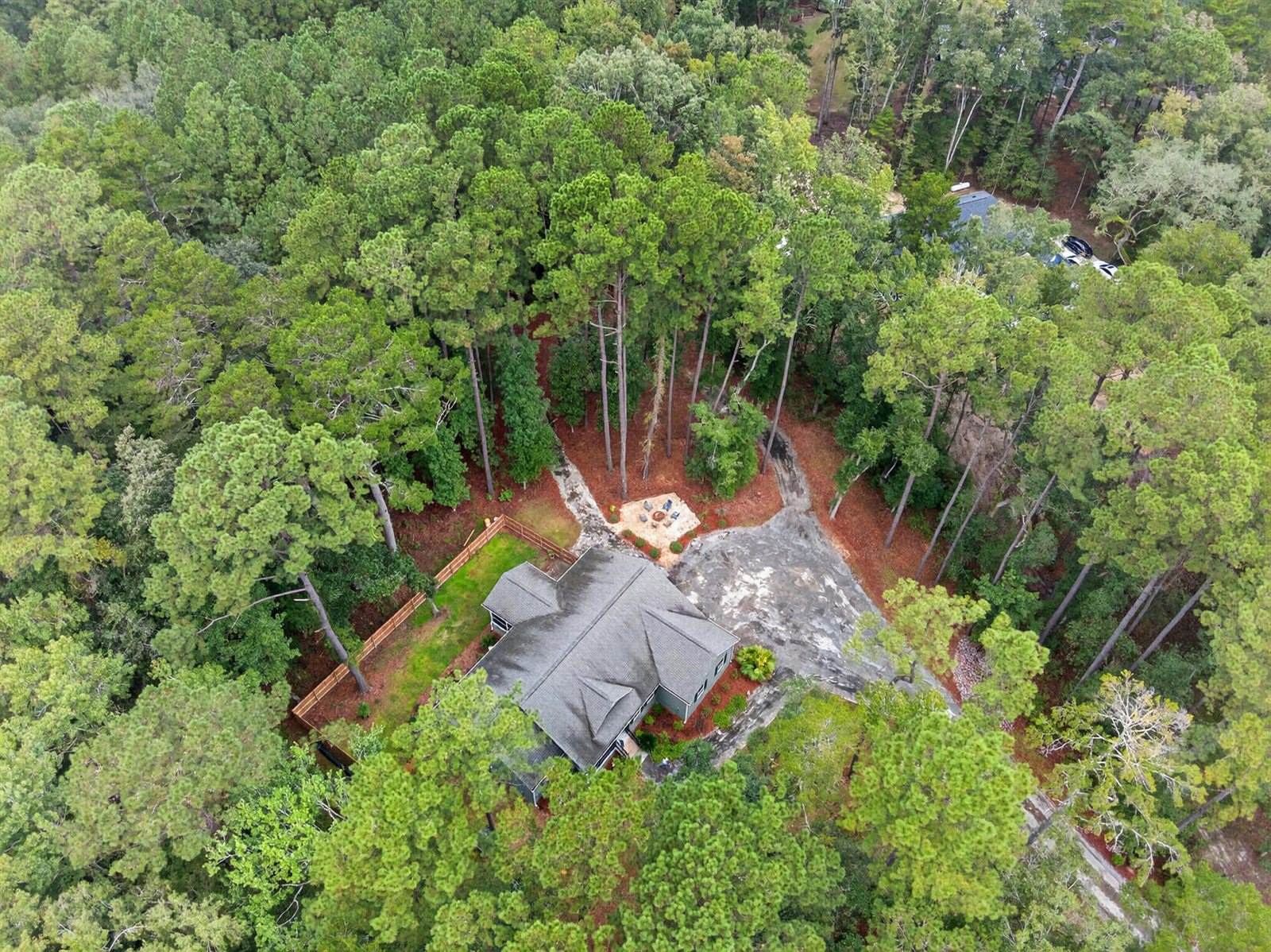 6347 Buttonbush Drive, Ravenel, SC 29470