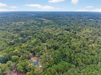 6347 Buttonbush Drive, Ravenel, SC 29470