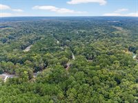 6347 Buttonbush Drive, Ravenel, SC 29470