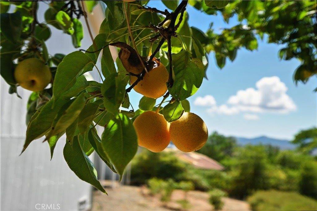 16657 Buckhorn Road, Hidden Valley Lake, CA 95467