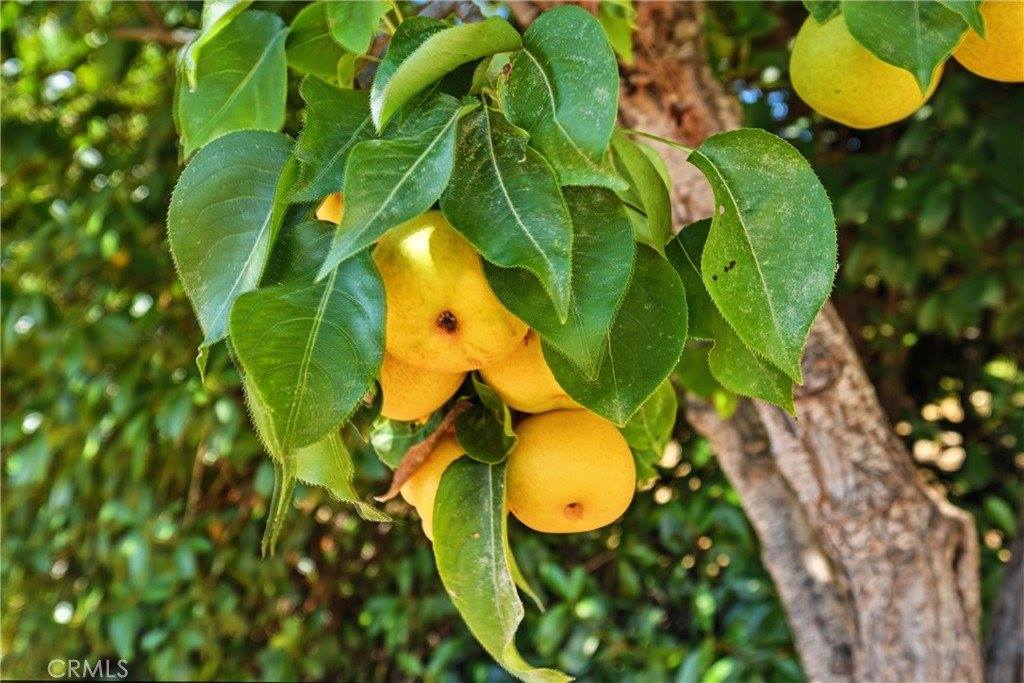 16657 Buckhorn Road, Hidden Valley Lake, CA 95467