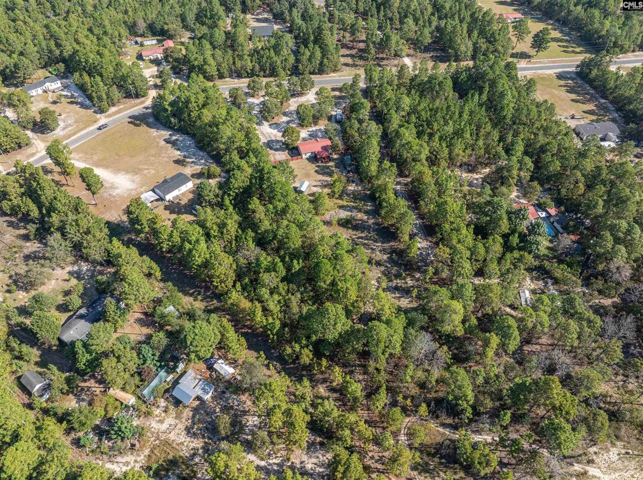 271 Leaning Tree, Pelion, SC 29123