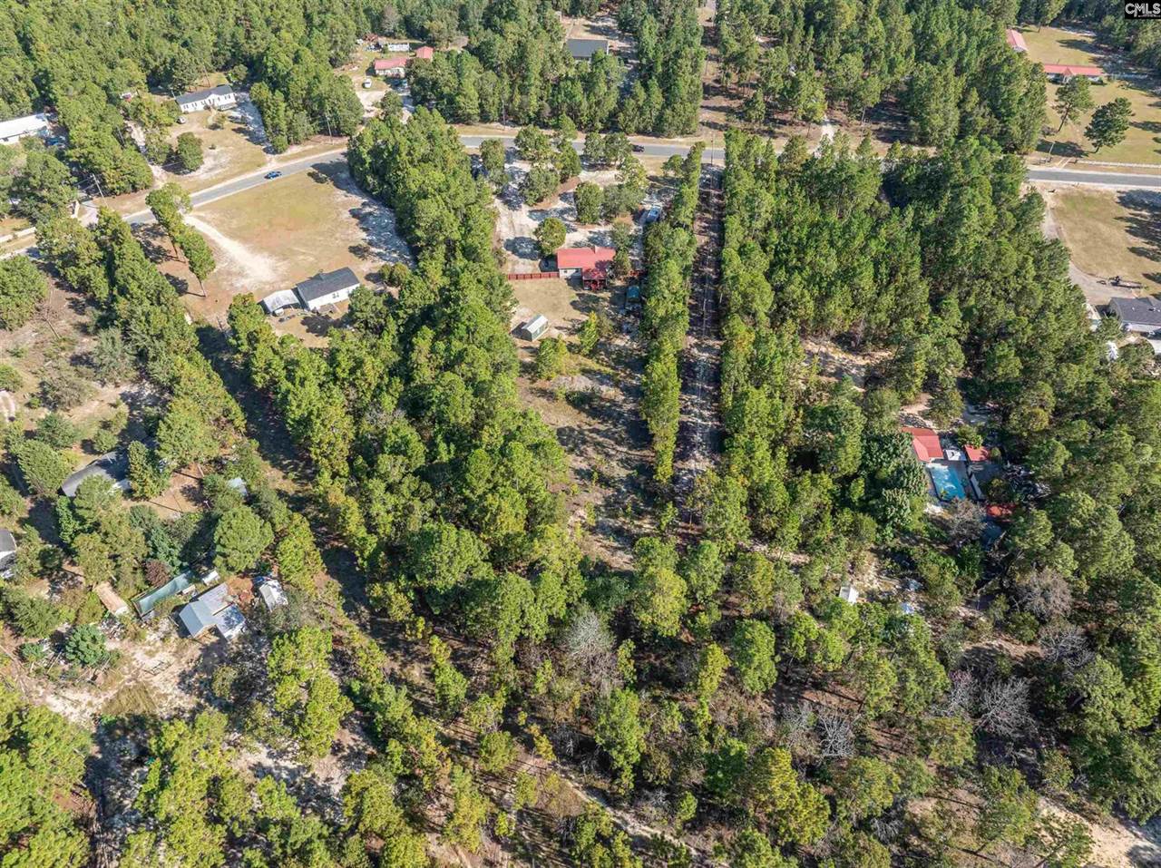 271 Leaning Tree, Pelion, SC 29123