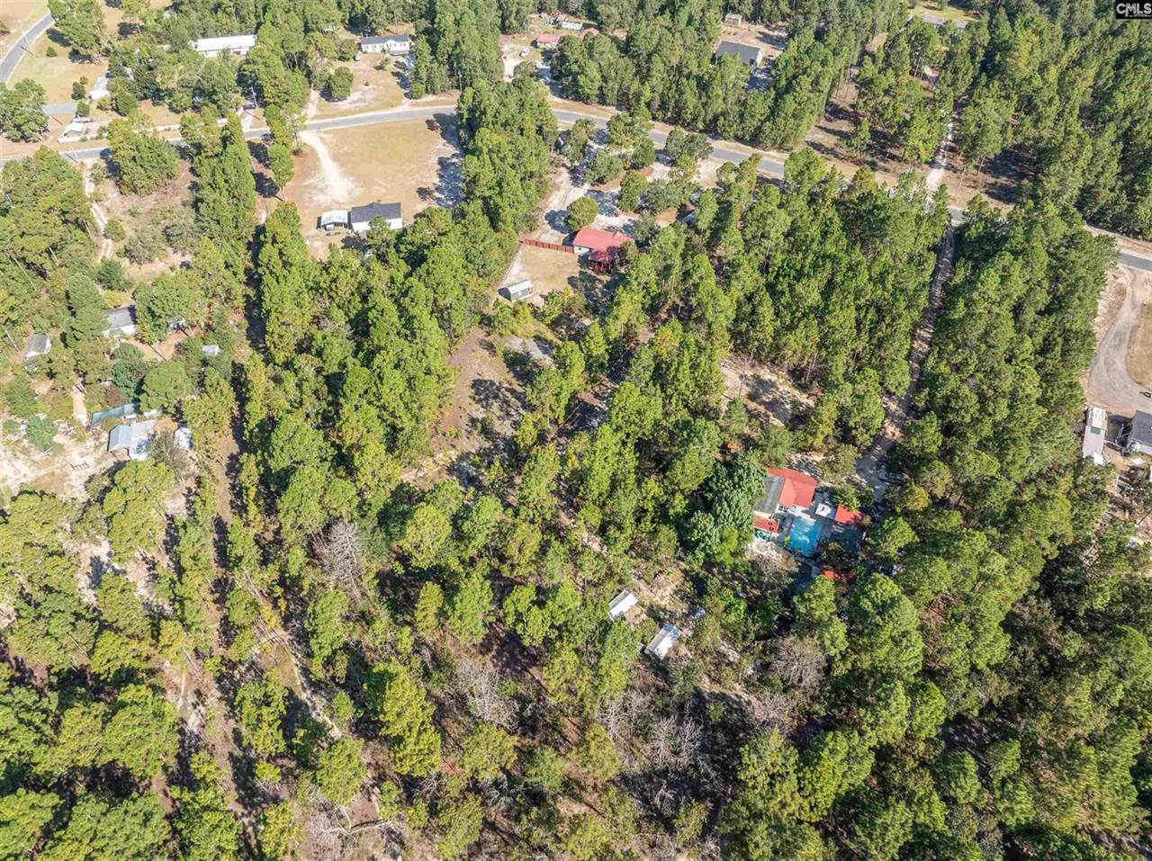 271 Leaning Tree, Pelion, SC 29123