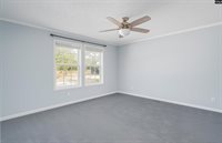 271 Leaning Tree, Pelion, SC 29123