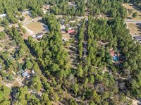 271 Leaning Tree, Pelion, SC 29123
