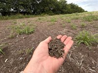 tbd Val Verde Rd Road, McGregor, TX 76657