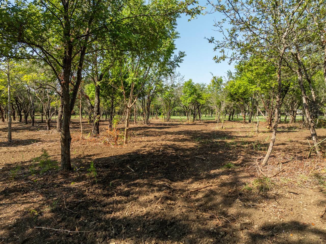 TBD Armadillo Dr, Lorena, TX 76655