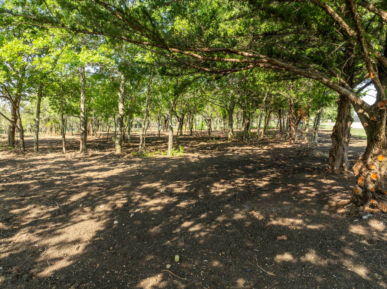 TBD Armadillo Dr, Lorena, TX 76655