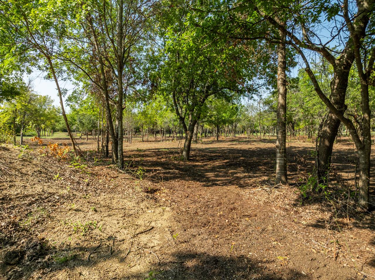 TBD Armadillo Dr, Lorena, TX 76655