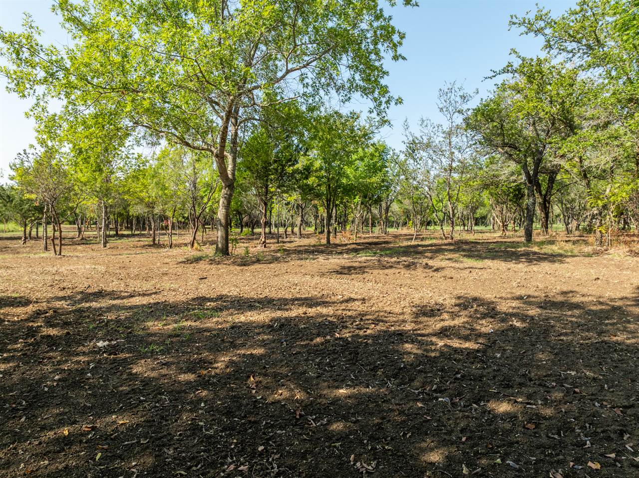 TBD Armadillo Dr, Lorena, TX 76655