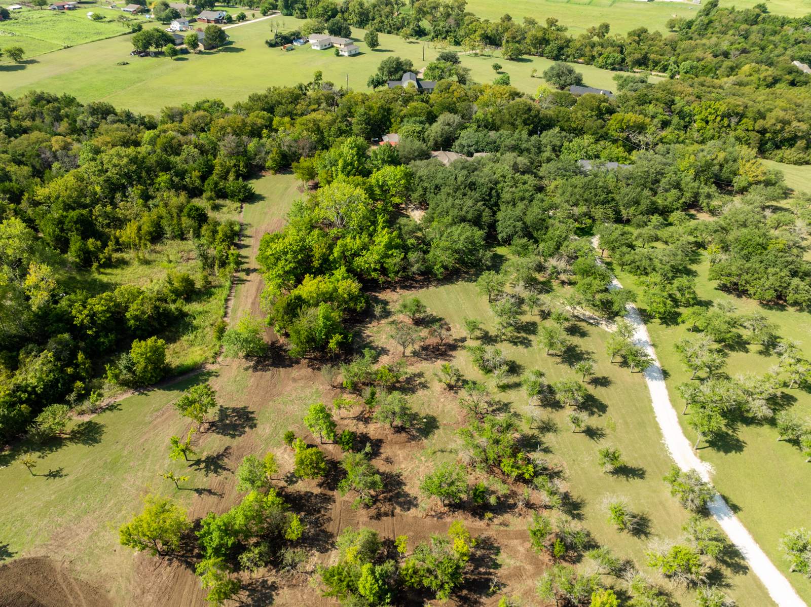 TBD Armadillo Dr, Lorena, TX 76655