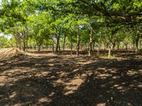 TBD Armadillo Dr, Lorena, TX 76655