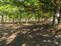 TBD Armadillo Dr, Lorena, TX 76655