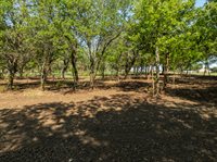 TBD Armadillo Dr, Lorena, TX 76655
