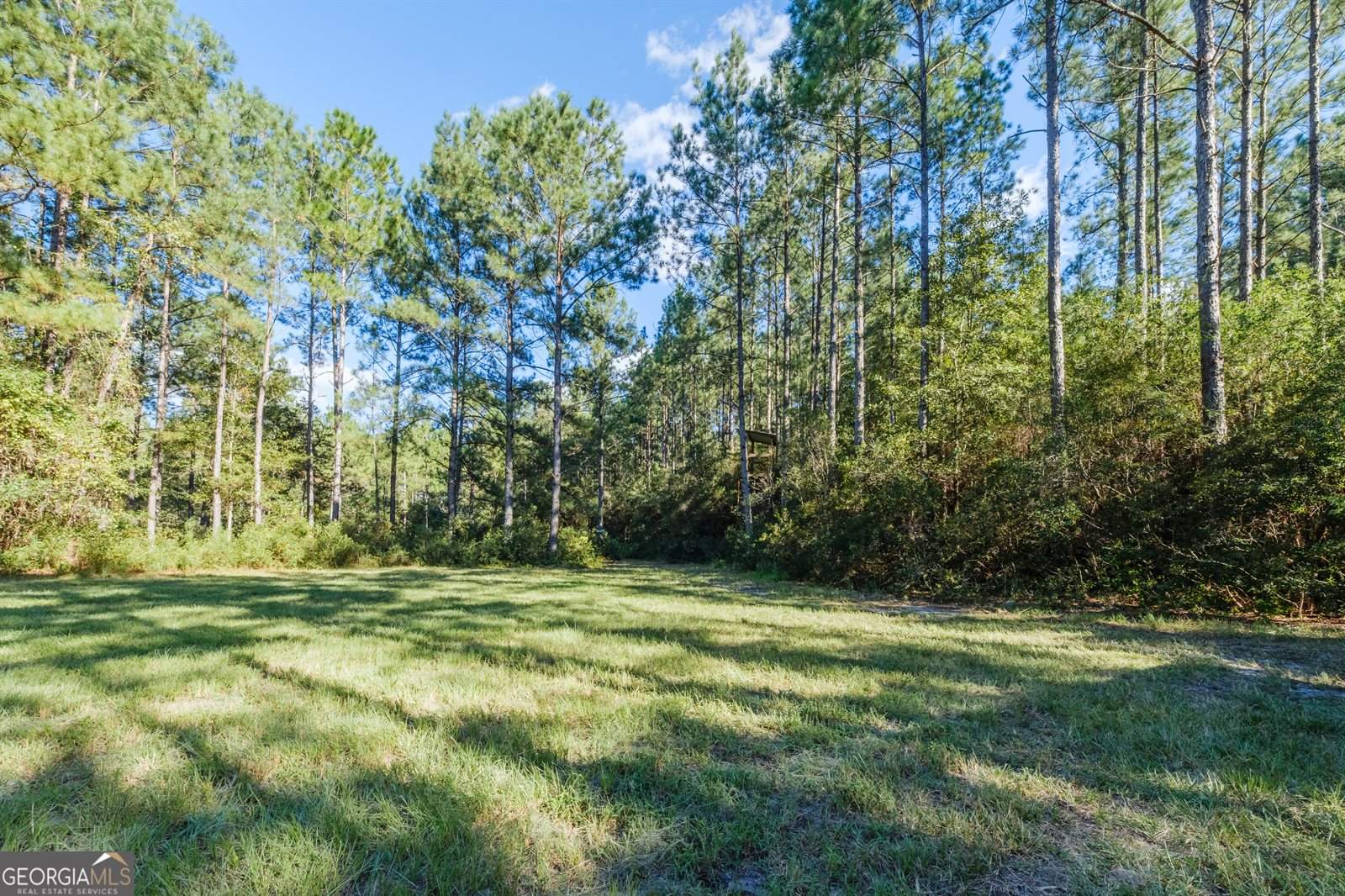 1910 Old Groveland Road, Pembroke, GA 31321