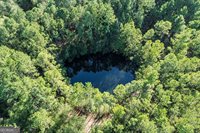 1910 Old Groveland Road, Pembroke, GA 31321