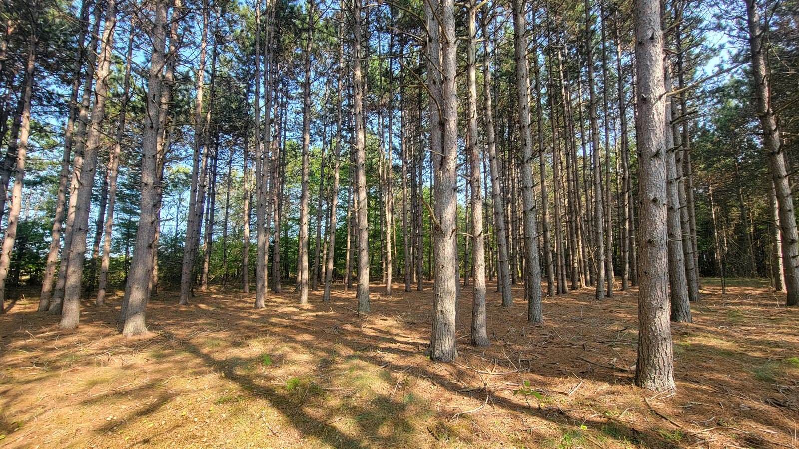 563 Bryant Road, Hermon, ME 04401