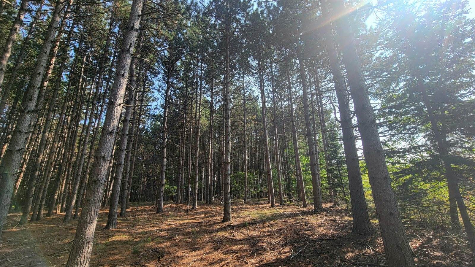 563 Bryant Road, Hermon, ME 04401