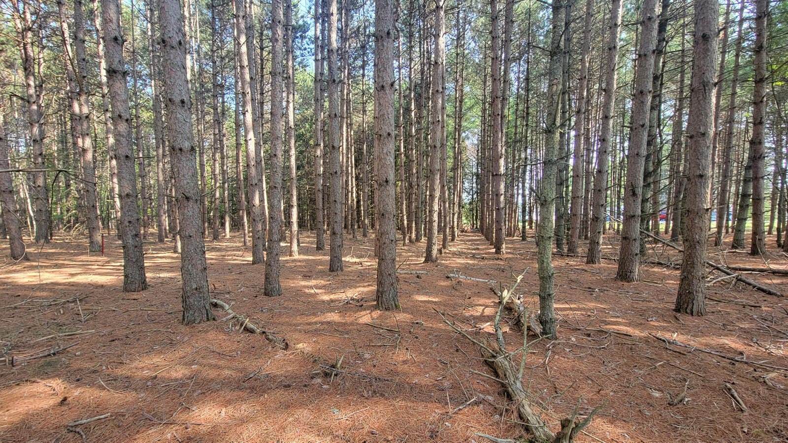 543 Bryant Road, Hermon, ME 04401