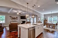 705 Ruskin, Chapin, SC 29036