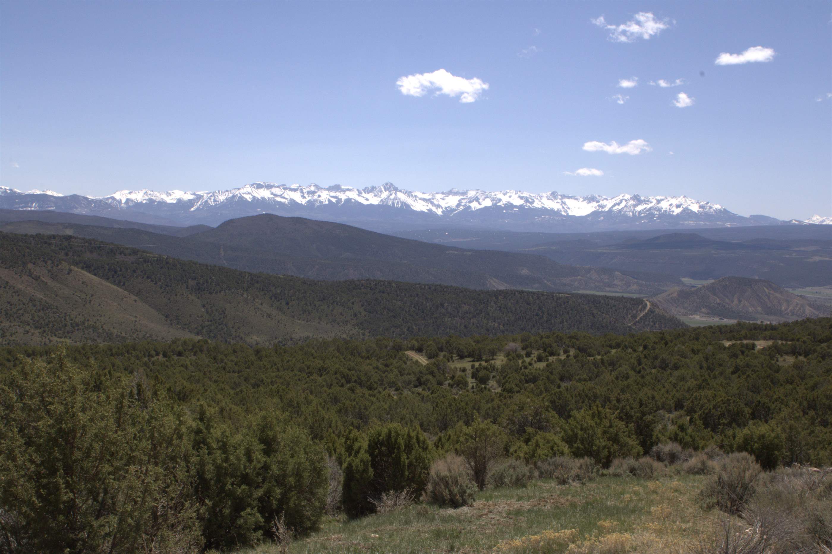 71519 Winchester Trail, Montrose, CO 81403