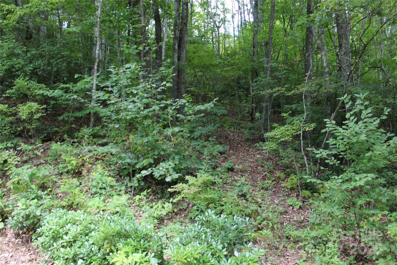 920 Autumn Drive, Maggie Valley, NC 28751
