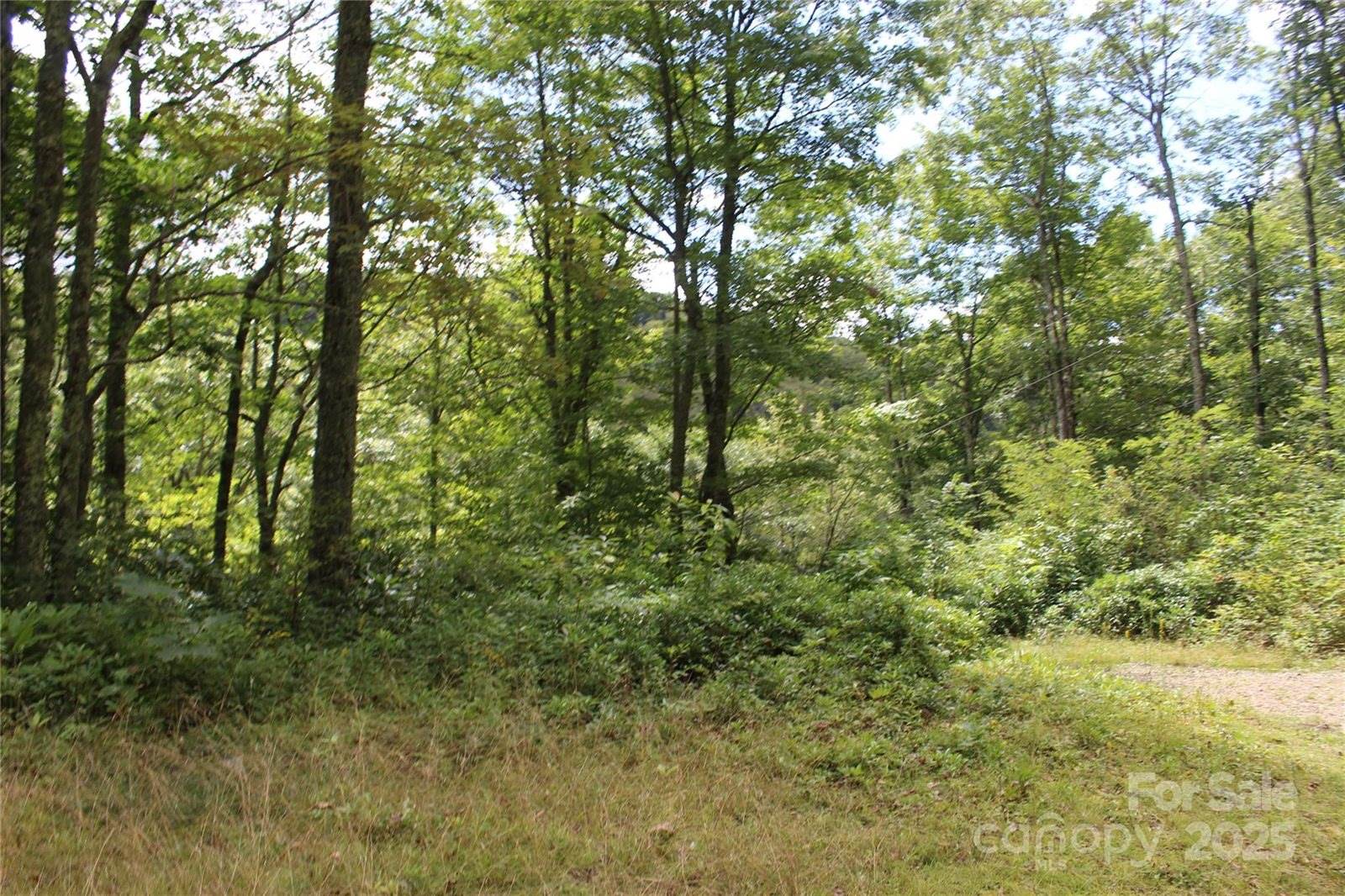 920 Autumn Drive, Maggie Valley, NC 28751