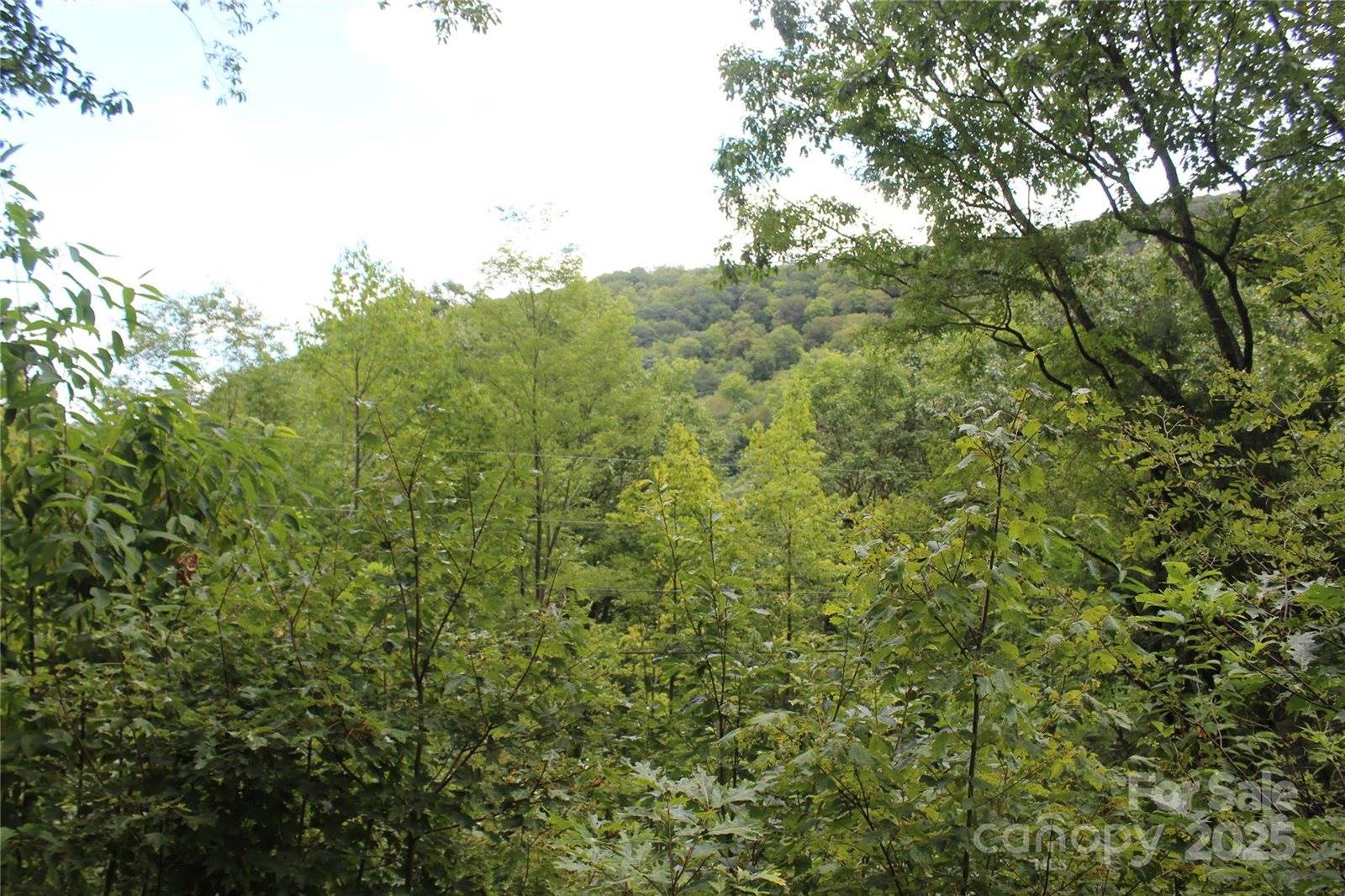 920 Autumn Drive, Maggie Valley, NC 28751