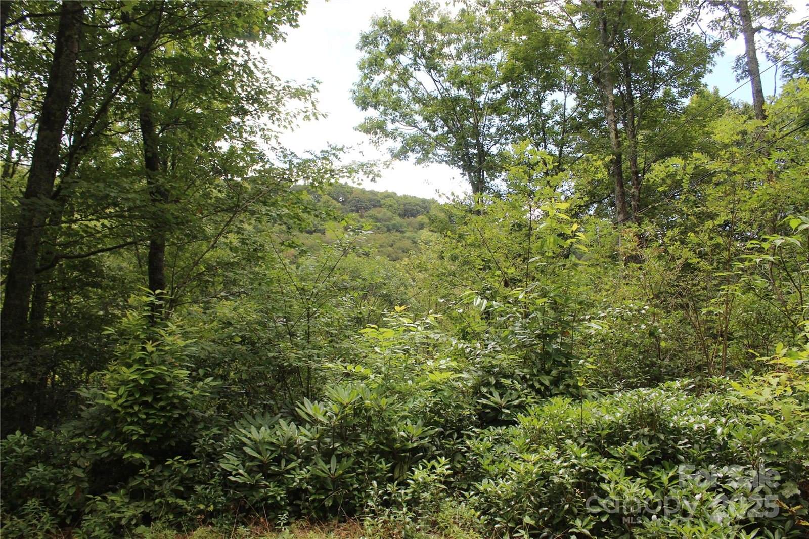 920 Autumn Drive, Maggie Valley, NC 28751