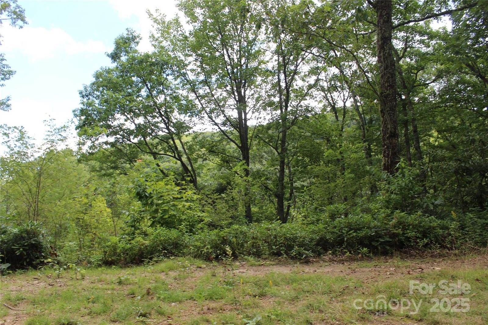 920 Autumn Drive, Maggie Valley, NC 28751