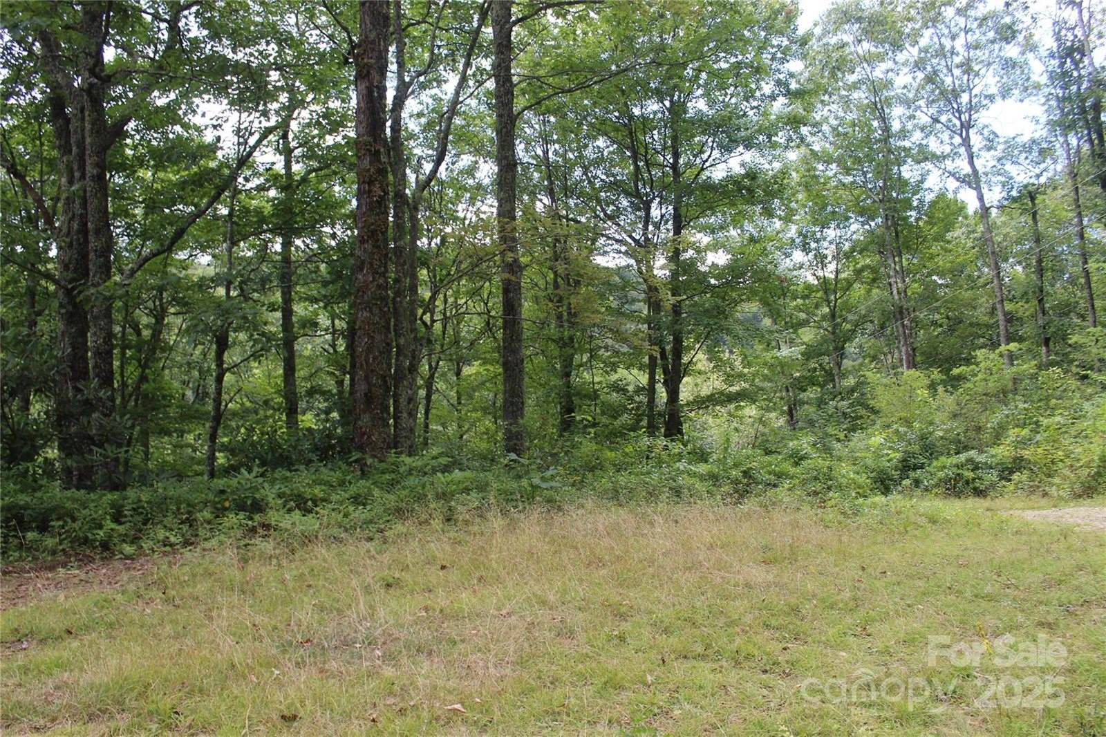 920 Autumn Drive, Maggie Valley, NC 28751