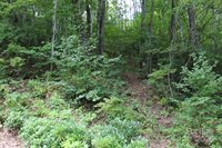 920 Autumn Drive, Maggie Valley, NC 28751