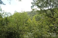 920 Autumn Drive, Maggie Valley, NC 28751
